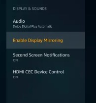 Cast to Firestick TV