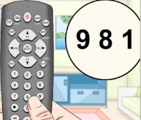 resetting the remote memory