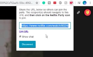 netflix party chrome browser