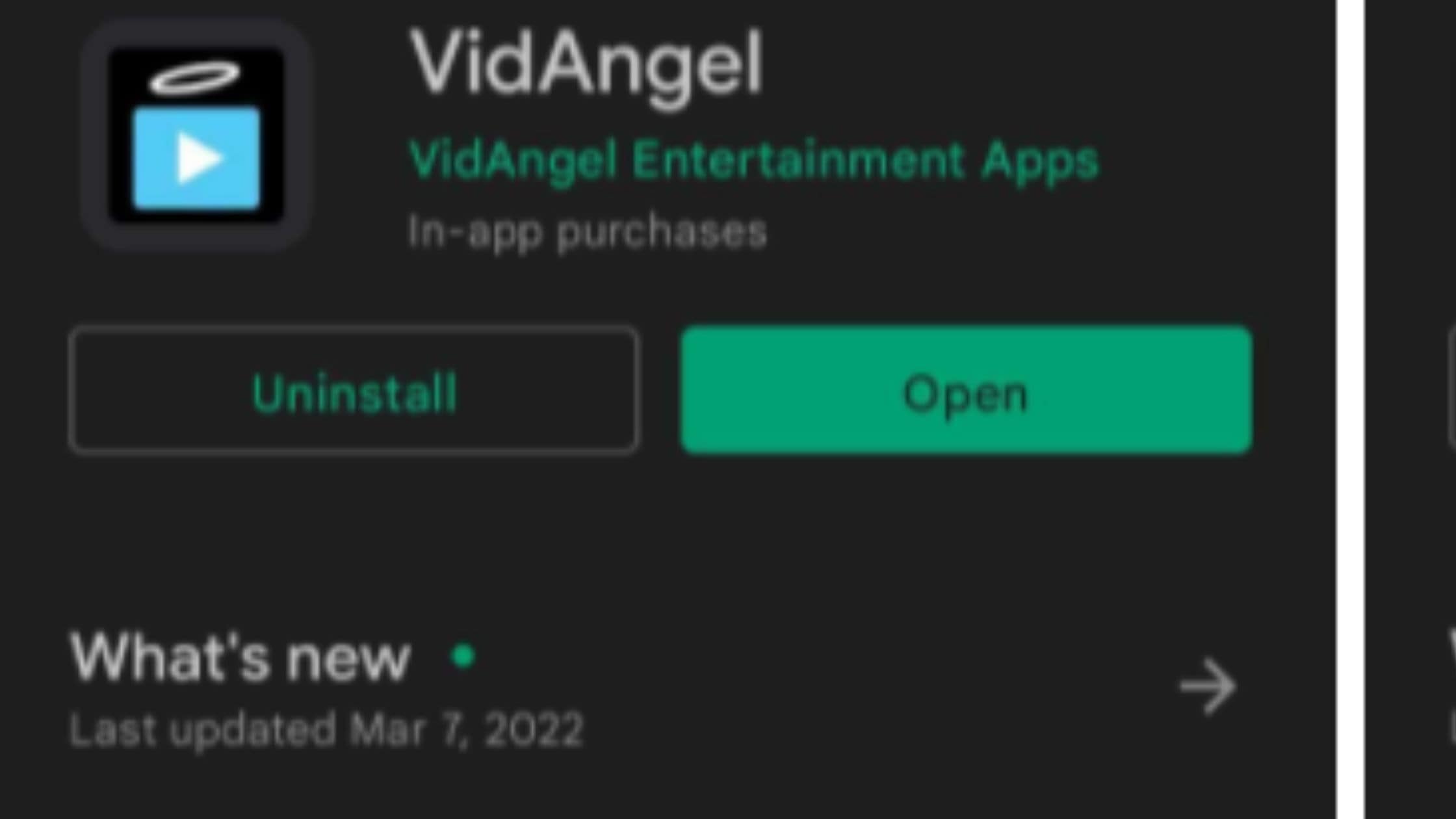 VidAngel