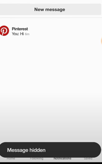 Message Hidden on Pinterest