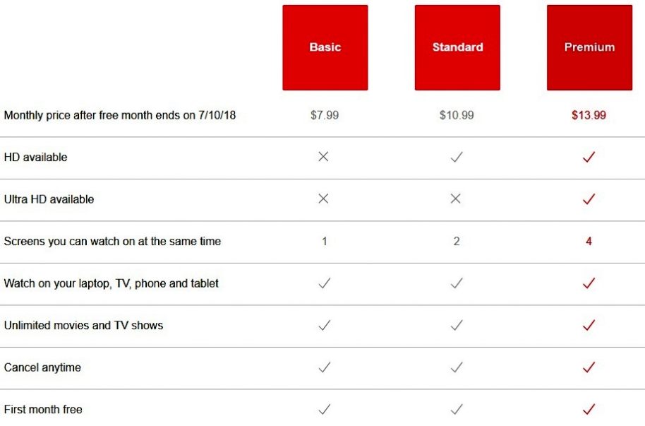 Netflix Subscription cost