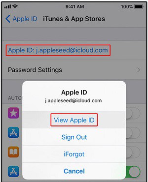 view-apple-id