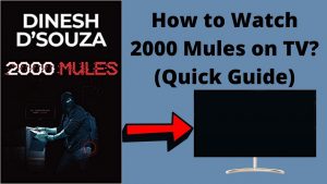 How to Watch 2000 Mules on TV For Free: Alternative Ways