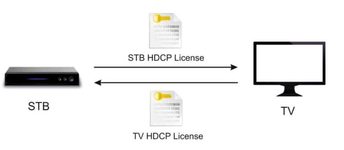 what is HDCP