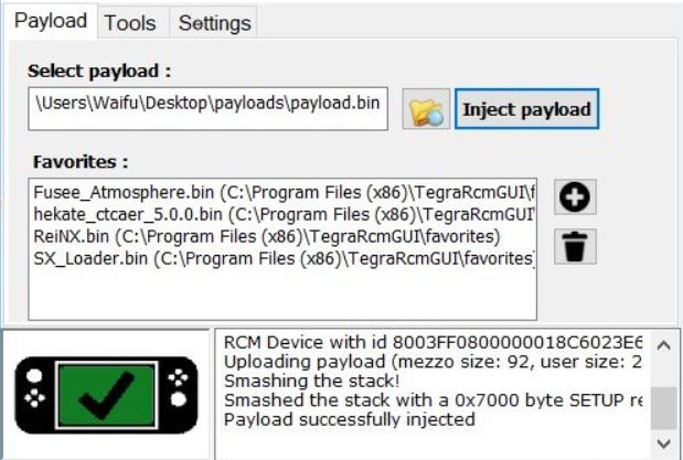 Inject Payload on Switch Lite