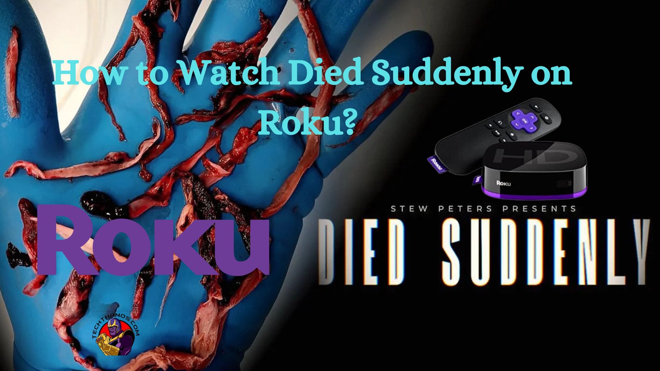 How to Watch Died Suddenly on Roku?