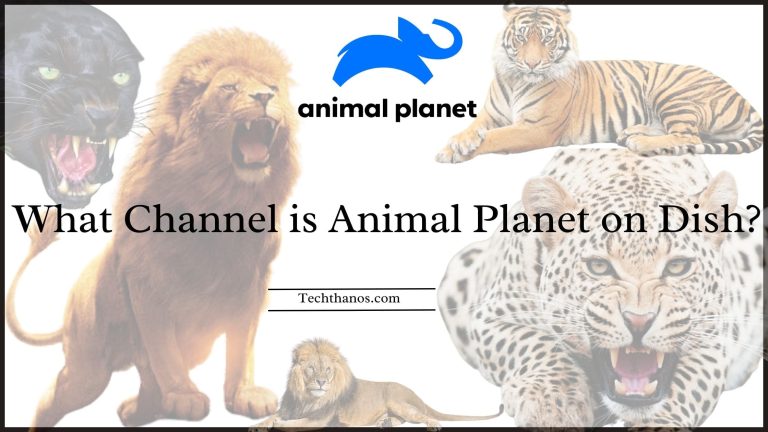 What Channel is Animal Planet?