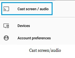 Cast and Auido screen
