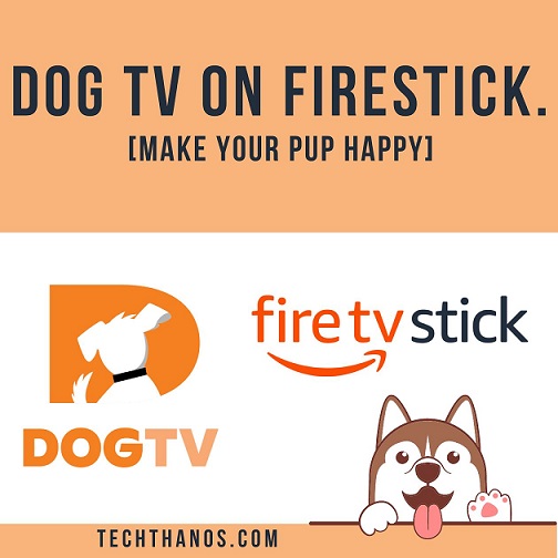 DOG TV on FireStick. [Make your Pup Happy]
