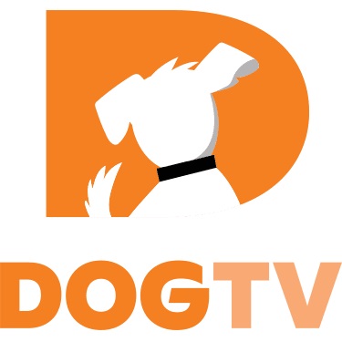 DOG TV
