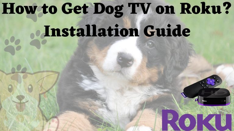 How to Get Dog TV on Roku Installation Guide