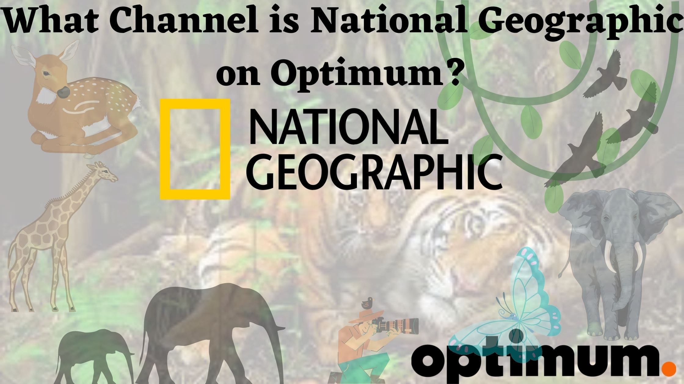 What Channel is National Geographic on Optimum