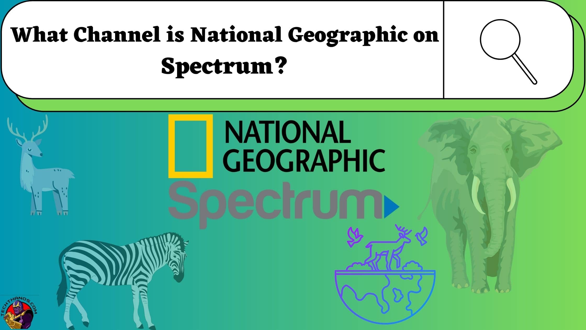 What Channel is National Geographic on Spectrum