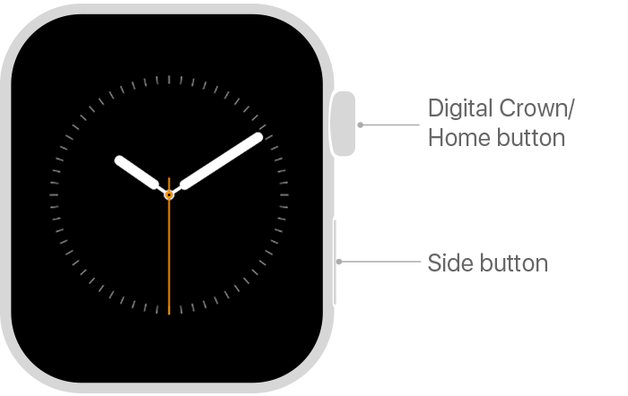 How do I connect my Apple Watch to my Phone