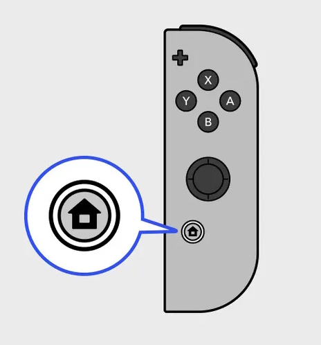 Home Button on Switch