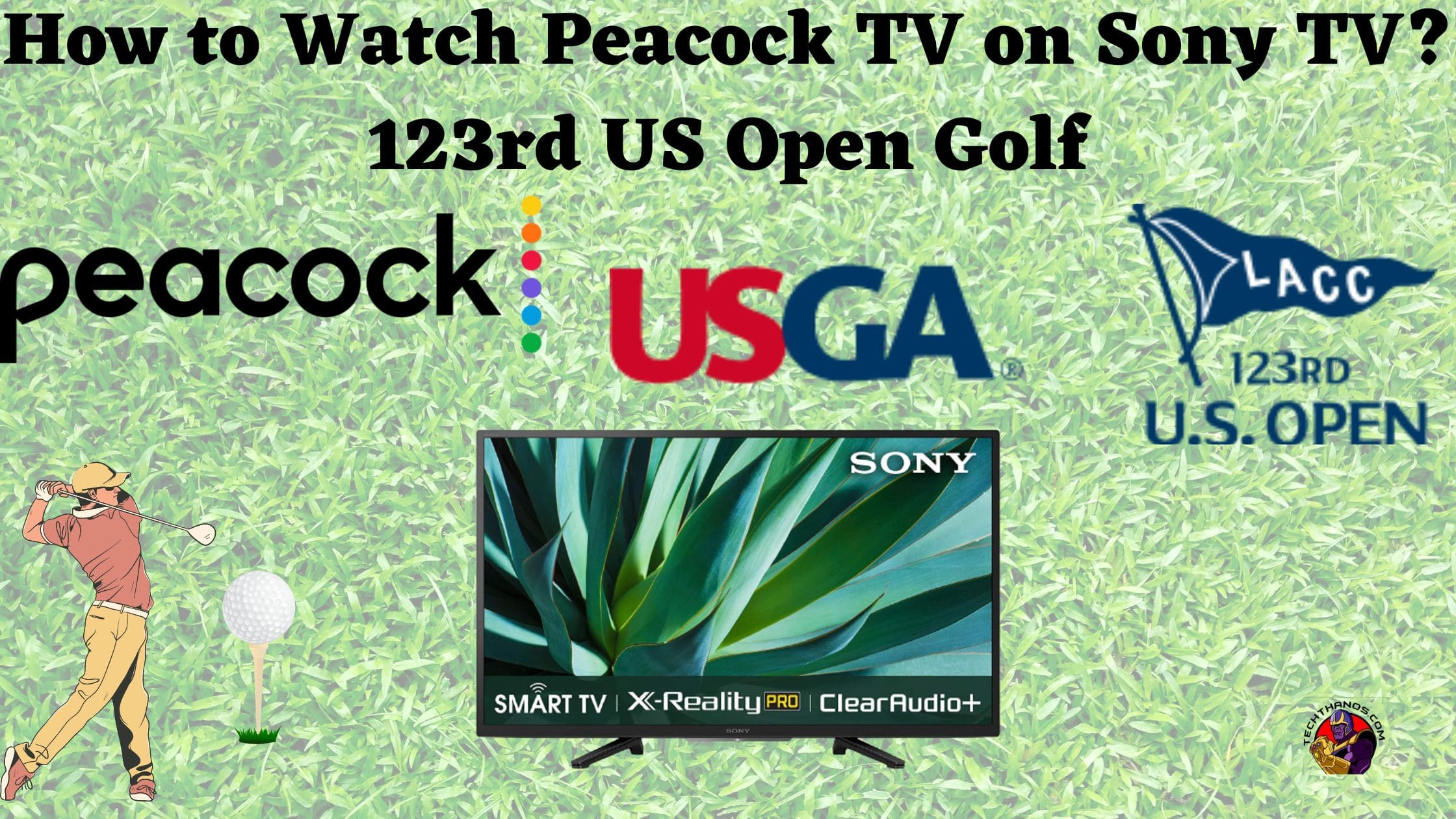 How to Watch Peacock TV on Sony TV