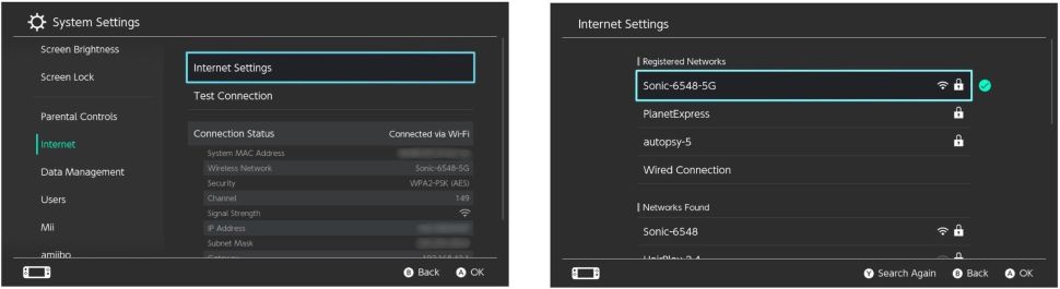 Change DNS on Switch 