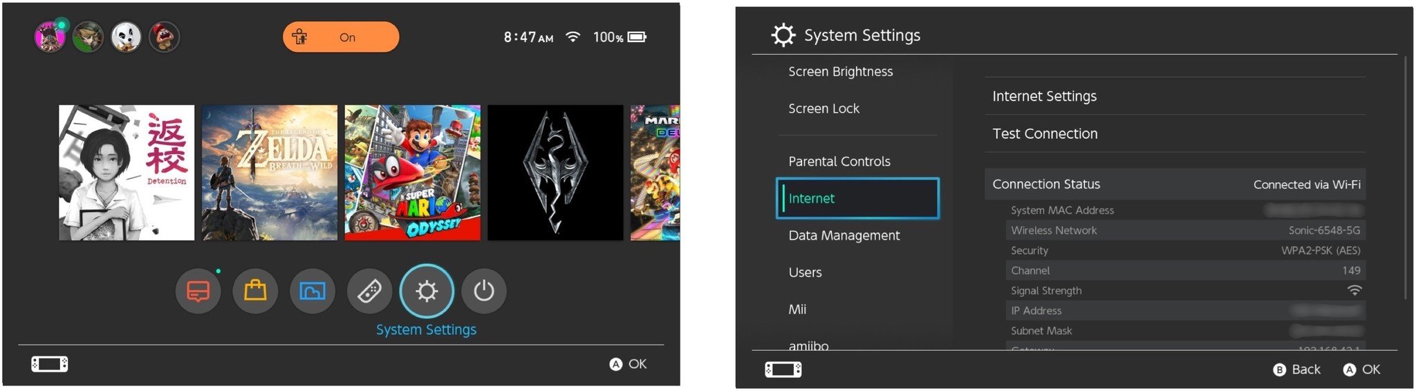 Change DNS on Switch 