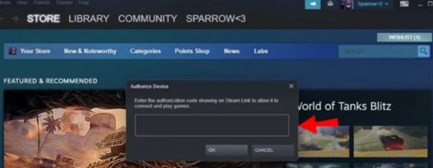 steam Library page
