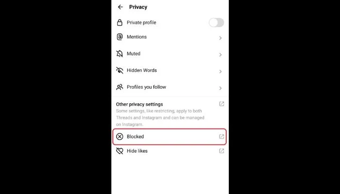 Blocked Profiles on Instagram