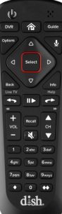 Dish Remote