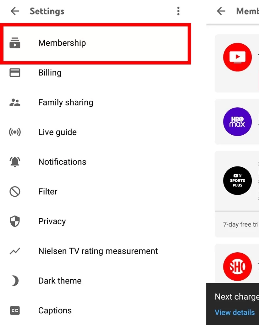 Membership on YouTube TV
