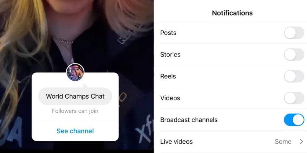 Notification muted