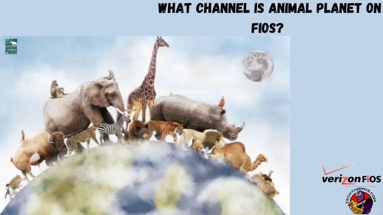 What Channel is Animal Planet on Fios?