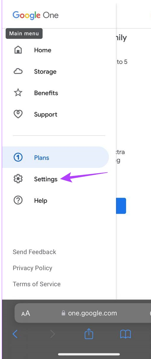 Google One Settings