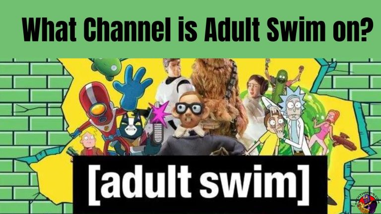 What Channel is Adult Swim onRick and Morty 7