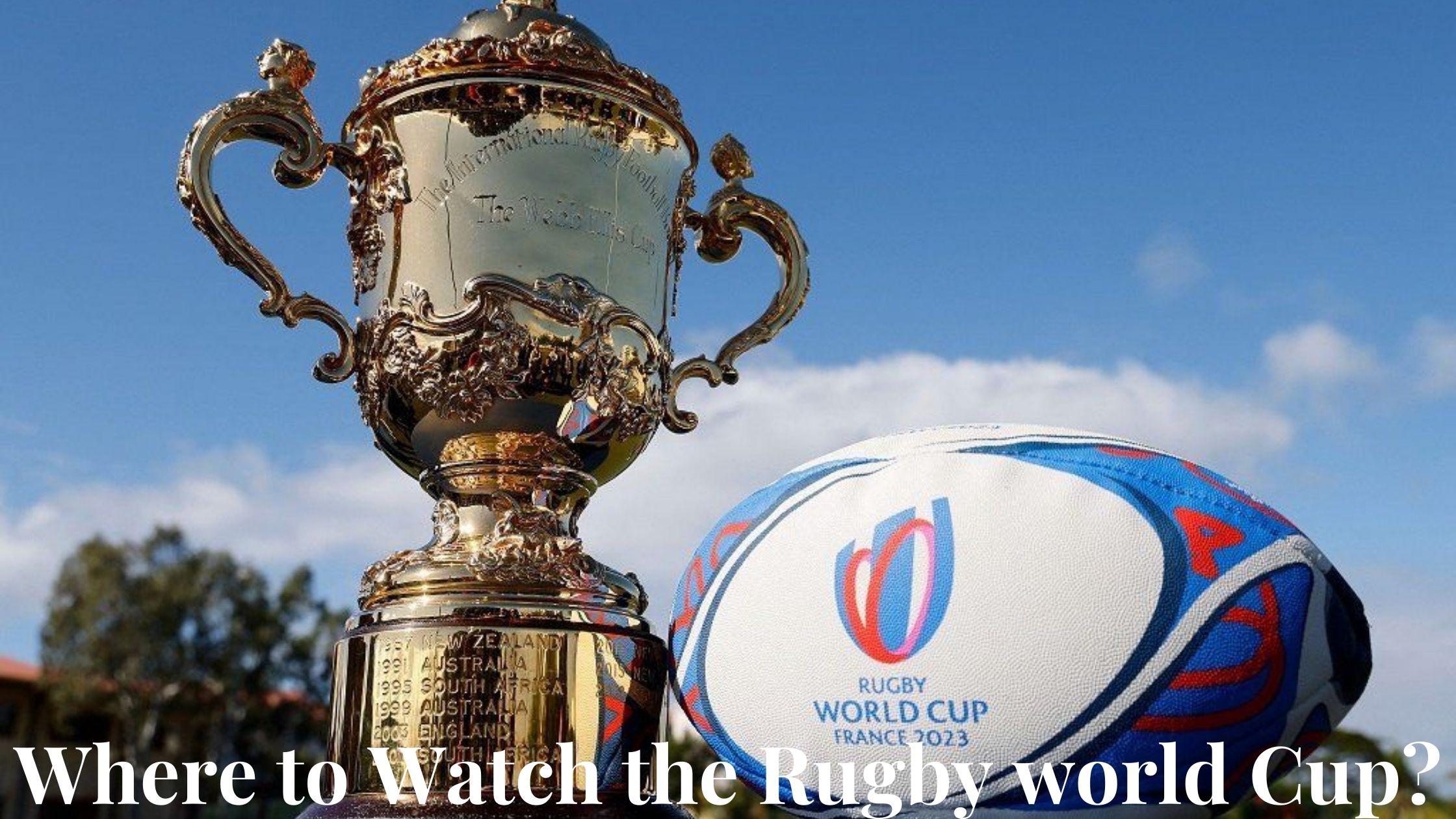 Where to Watch the Rugby world Cup