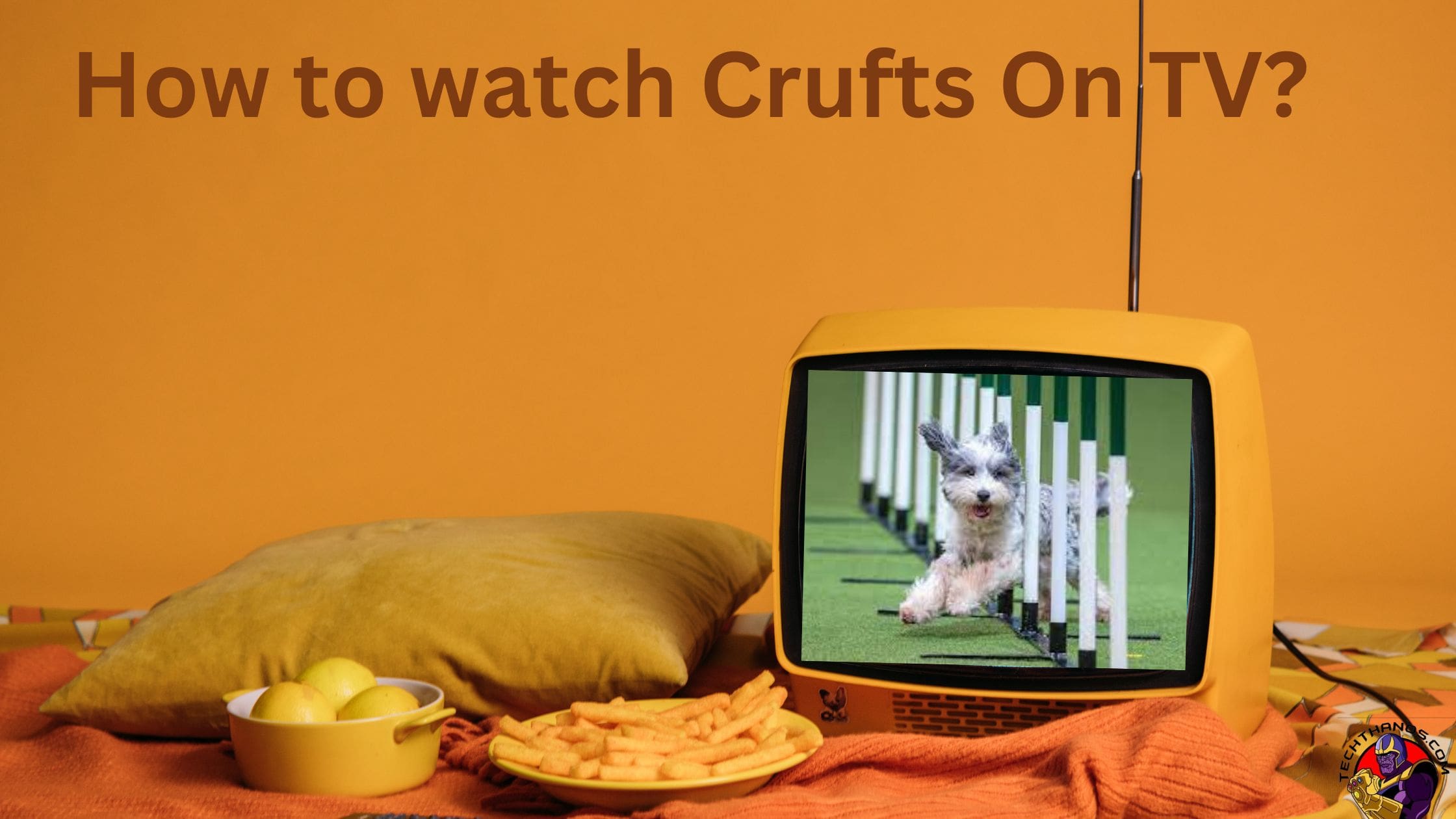How to watch Crufts On TV?